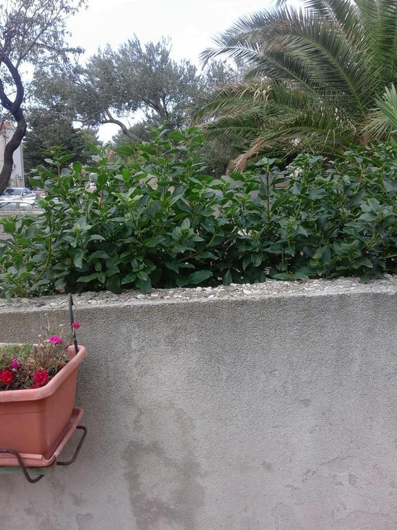 בול Apartments Jerica מראה חיצוני תמונה