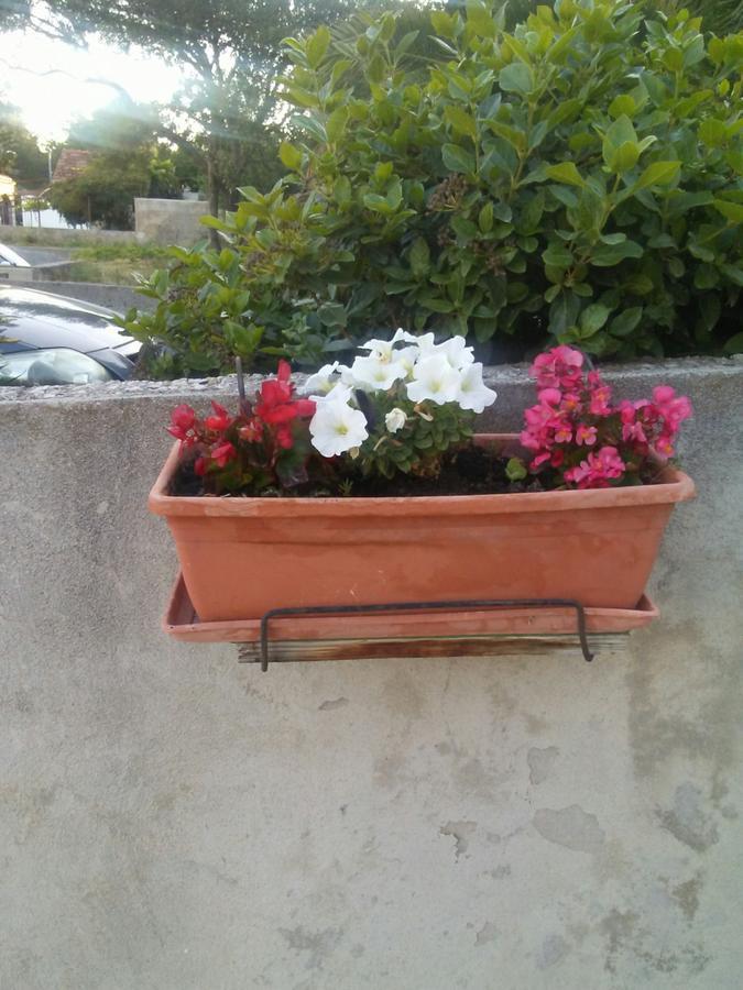 בול Apartments Jerica מראה חיצוני תמונה
